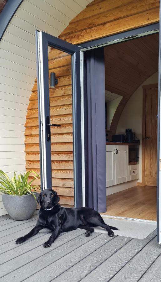 Habberley Glamping Pods Hotel Shrewsbury Exterior foto